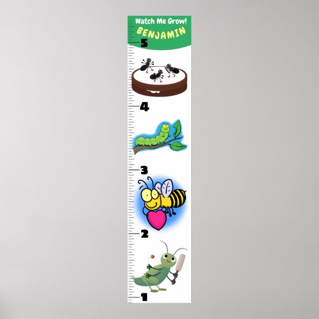 Poster Carnet de croissance des insectes amusants (Devant)