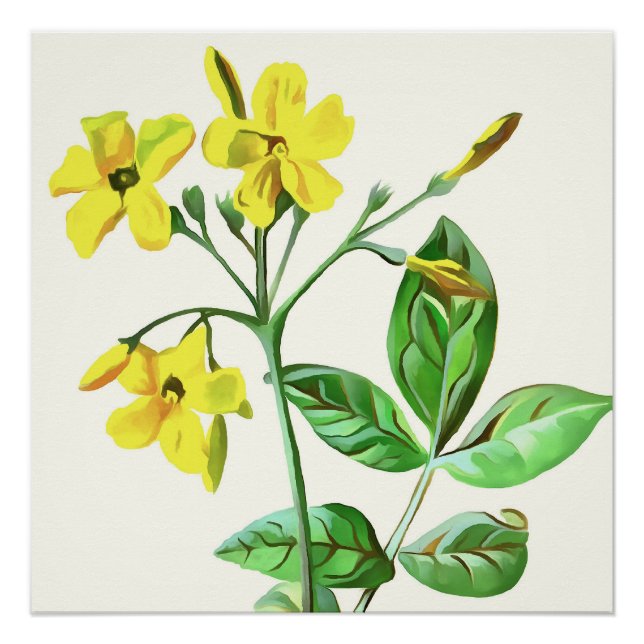 Poster Carolina Jasmine Botanique Art (Devant)