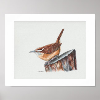 Poster Carolina Wren Art Imprimer