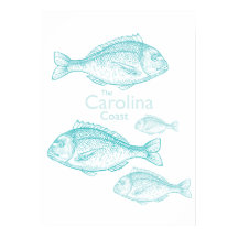 Caroline Côtière Vintage Turquoise Poisson d'Eau d