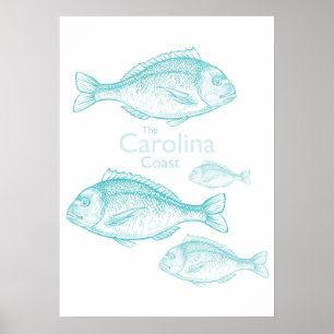 Poster Caroline Côtière Vintage Turquoise Poisson d'Eau d
