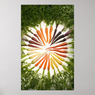 Poster Carottes de plusieurs couleurs sur toile