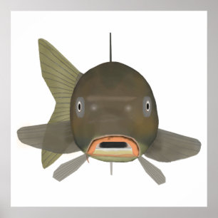 Poster Carpe commune - Tête de poisson