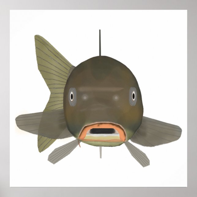 Poster Carpe commune - Tête de poisson (Devant)