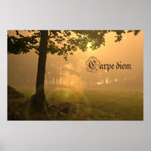Poster Carpe diem