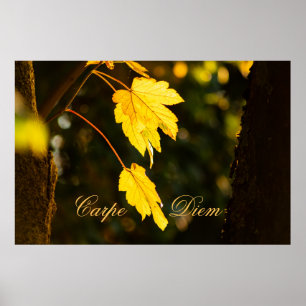 Poster Carpe Diem personnalisable avec feuille colorée Po