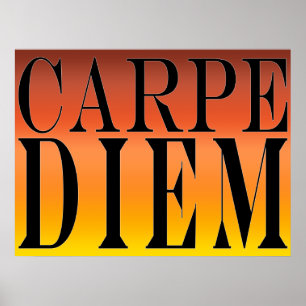 Poster Carpe Diem Seize the Day Latin Quote Happiness