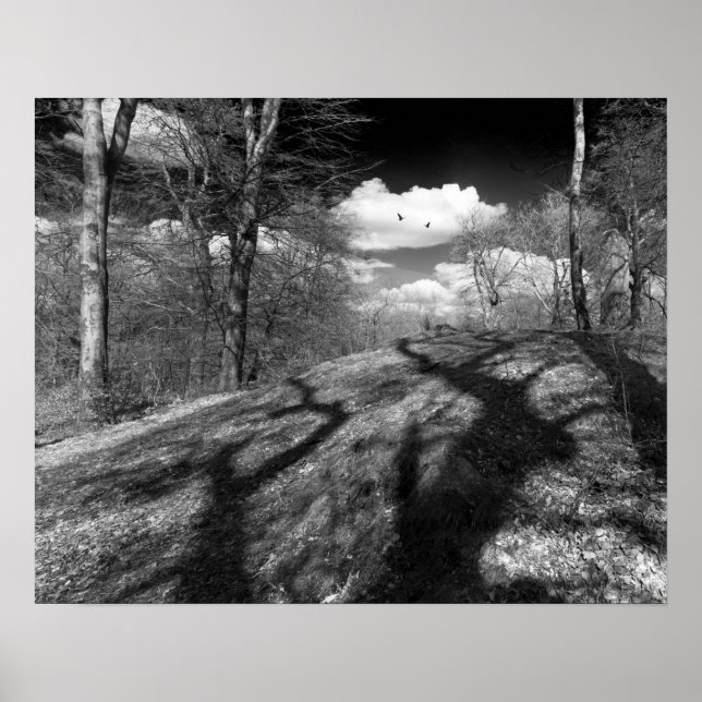 Poster Carrion. (Devant)