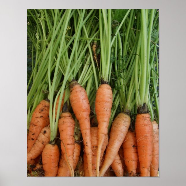 Poster Carrots (Devant)
