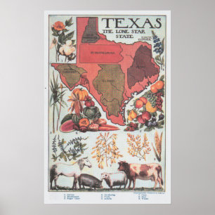 Poster Carte agricole du Texas vintage (1922)