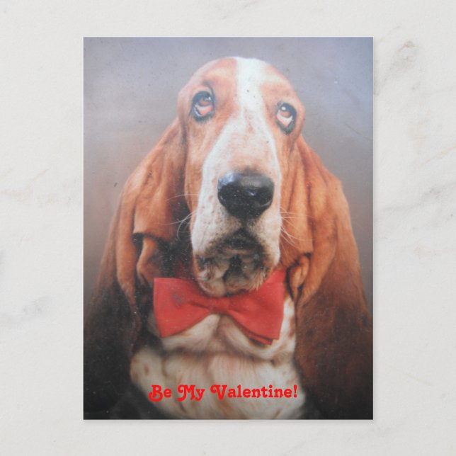 Poster Carte Basset Hound Dans Red Bow Cravate, Be (Devant)