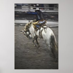 Poster Carte d'art de Ride 'Em Cowboy