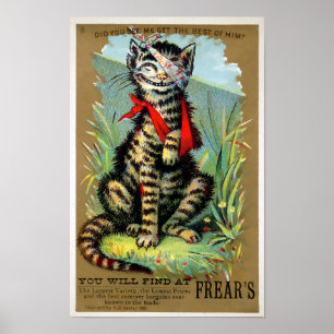 Poster Carte de commerce pour chats de marchandises no 6 