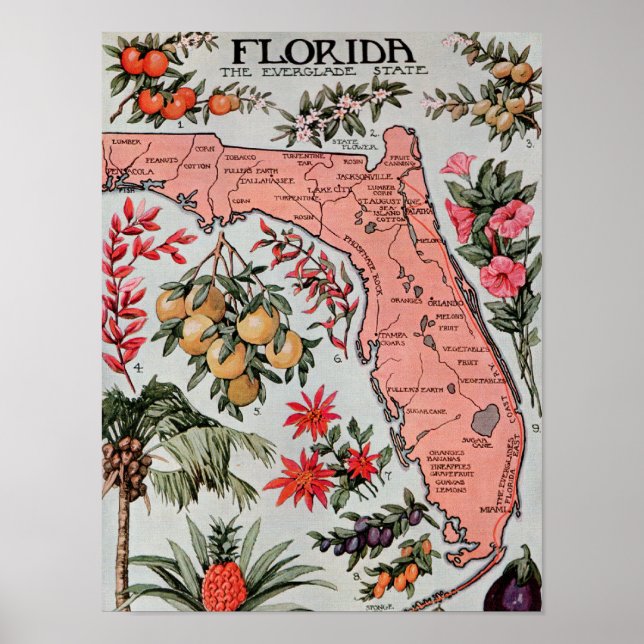 Poster Carte de Floride vintage (Devant)