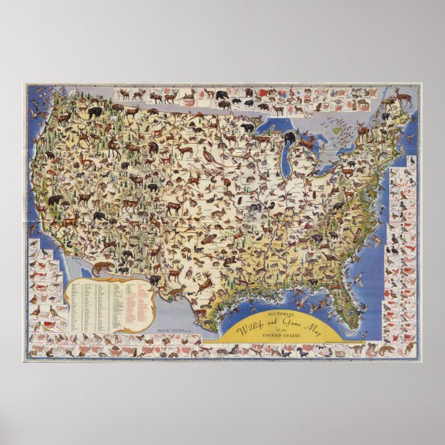 Poster Carte de la faune et du jeu des États-Unis (Devant)