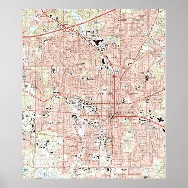 Poster Carte de la Floride de Tallahassee (1999) (Devant)