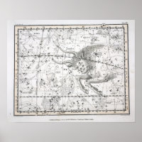 Carte de la plaque Constellations XIV