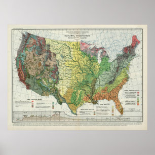 Poster Carte de la végétation naturelle des États-Unis (1