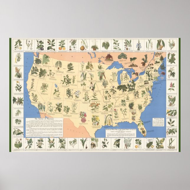 Poster Carte de l'affiche des médicaments à base de plant (Devant)