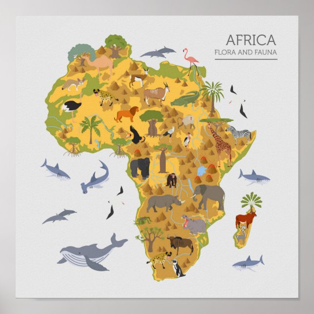Poster Carte de l'Afrique | Faune et flore (Devant)