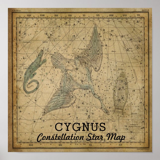 Poster Carte de l'étoile Cygnus Swan Constellation (Devant)
