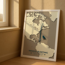 Carte de migration de Bunting Indigo - Vintage min