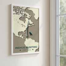Carte de migration de Bunting Indigo - Vintage min