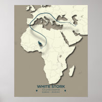 Carte de migration de la cigogne blanche - Bir Vin