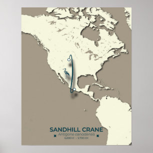 Poster Carte de migration de la grue de Sandhill - Minima