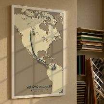 Carte de migration de la Paruline Jaune - Minimali
