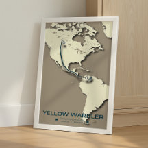 Carte de migration de la Paruline Jaune - Minimali