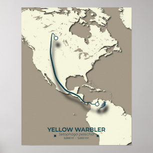 Poster Carte de migration de la Paruline Jaune - Minimali
