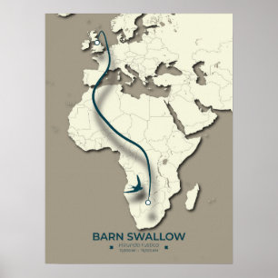 Poster Carte de migration de l'hirondelle de grange - min