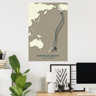 Poster Carte de migration des sternes arctiques - Vintage