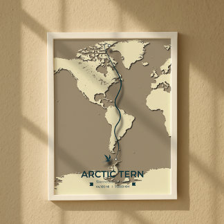 Poster Carte de migration des sternes arctiques - Vintage
