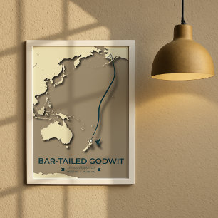 Poster Carte de migration des sternes arctiques - Vintage
