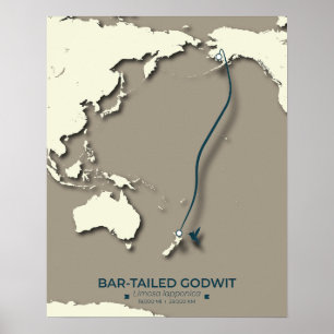 Poster Carte de migration des sternes arctiques - Vintage