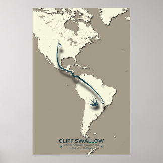 Poster Carte de migration d'hirondelle de falaise - Vinta