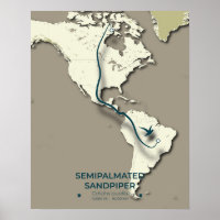 Carte de migration du bécasseau semi-palmé - minim