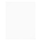 Carte de Noël Dachshund Skiing