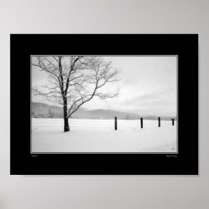 Poster Carte de solitude