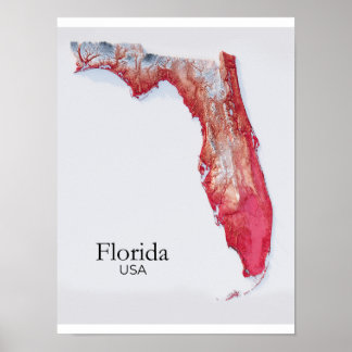 Poster Carte de soulagement de Floride Texture Rouge