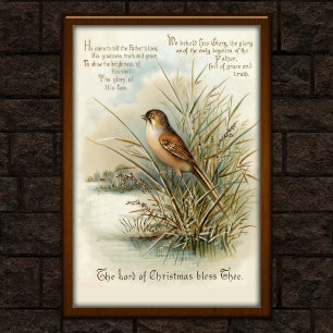 Poster Carte de voeux d'oiseaux de Noël vintage 1908 Art