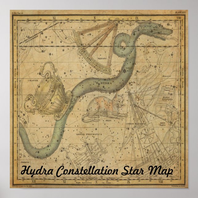 Poster Carte des étoiles de l'hydre Constellation Astrono (Devant)