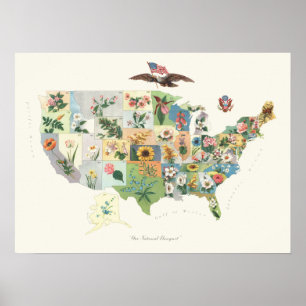 Poster Carte des fleurs des États-Unis - Notre Bouquet na