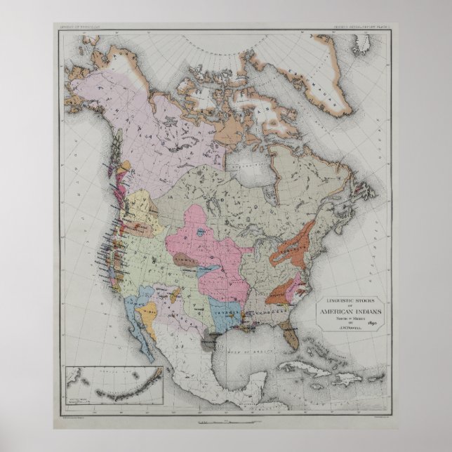 Poster Carte des langues des peuples autochtones d'Amériq (Devant)