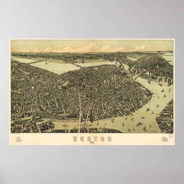 Poster Carte des oiseaux de Boston - 1899 (Walker) BigMap (Devant)