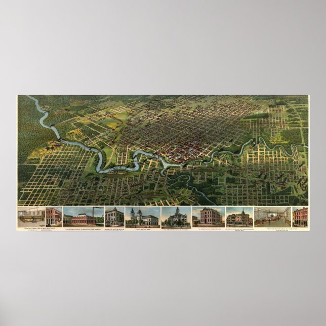 Poster Carte des oiseaux de Houston, Texas (1891) réimpre (Devant)