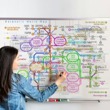 Carte du métro du sentier métabolique