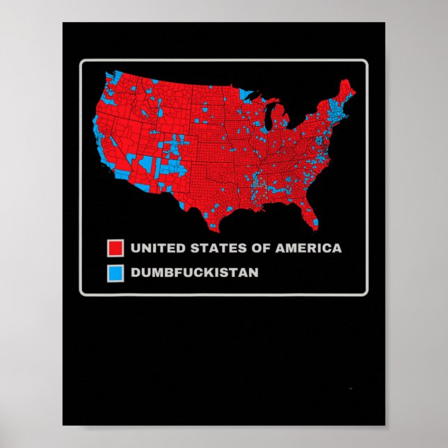 Poster Carte Électorale 2024 Etats-Unis D'Amérique Dumbfo (Devant)